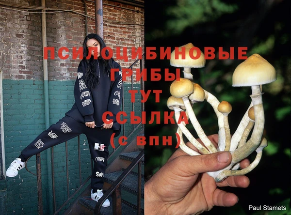 кокаин колумбия Богородск