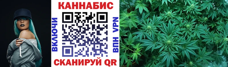 Канабис конопля  где продают наркотики  Тосно 